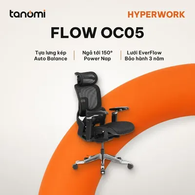 Ghế công thái học HyperWork Flow OC05