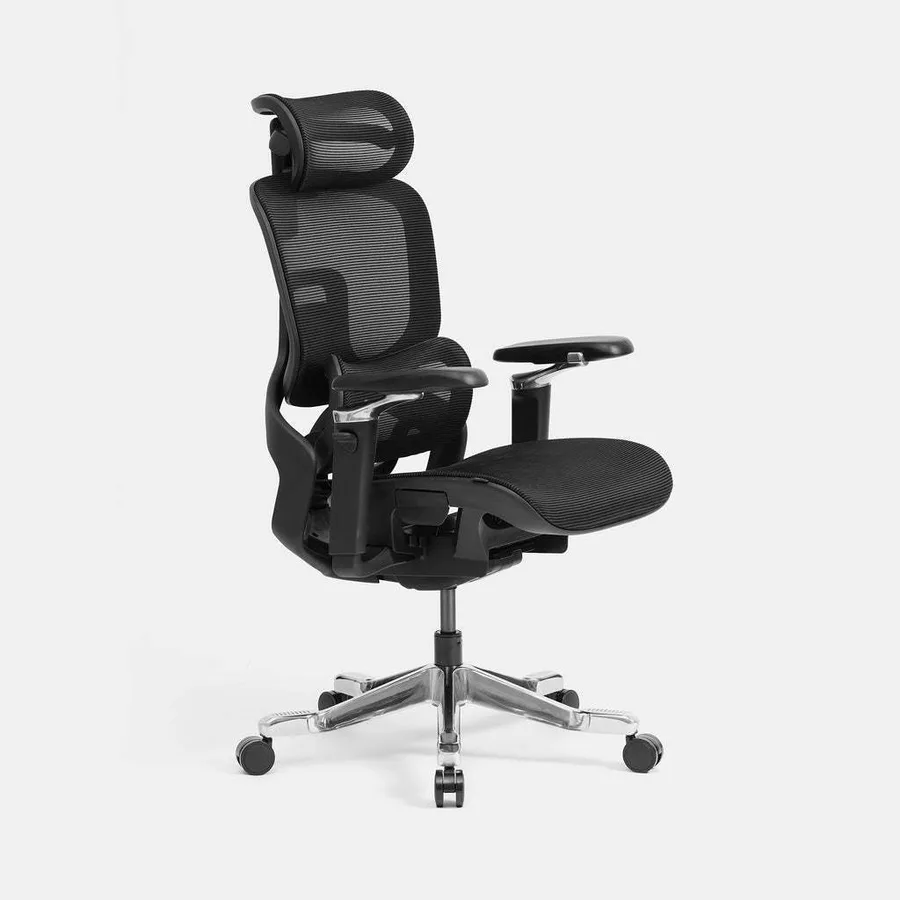 Ghế công thái học HyperWork Flow OC05