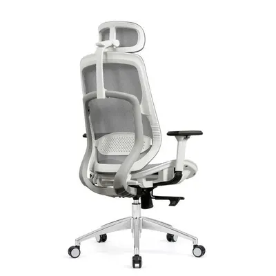 Ghế công thái học lưng lưới HyperWork Airy OC02