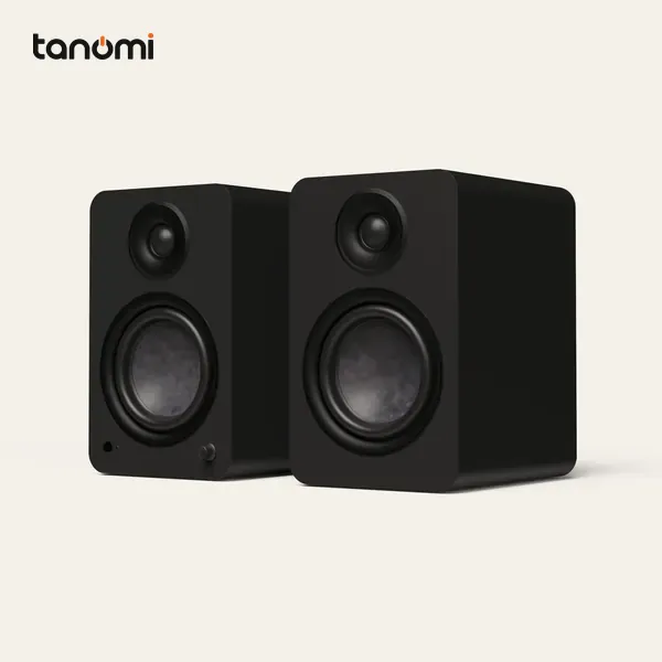 Loa bookshelf có ampli KANTO Yu6 G2 phono preamp